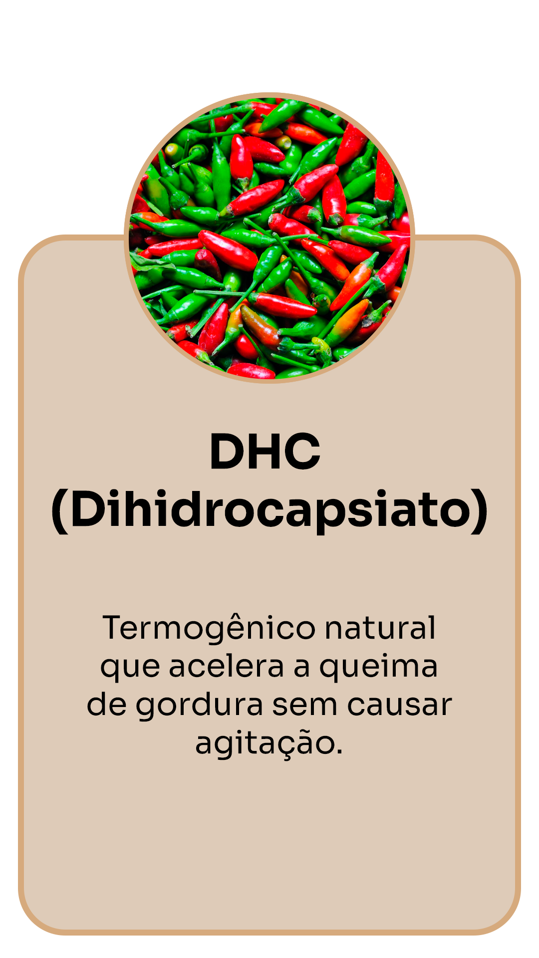 DHC-_Dihidrocapsiato_