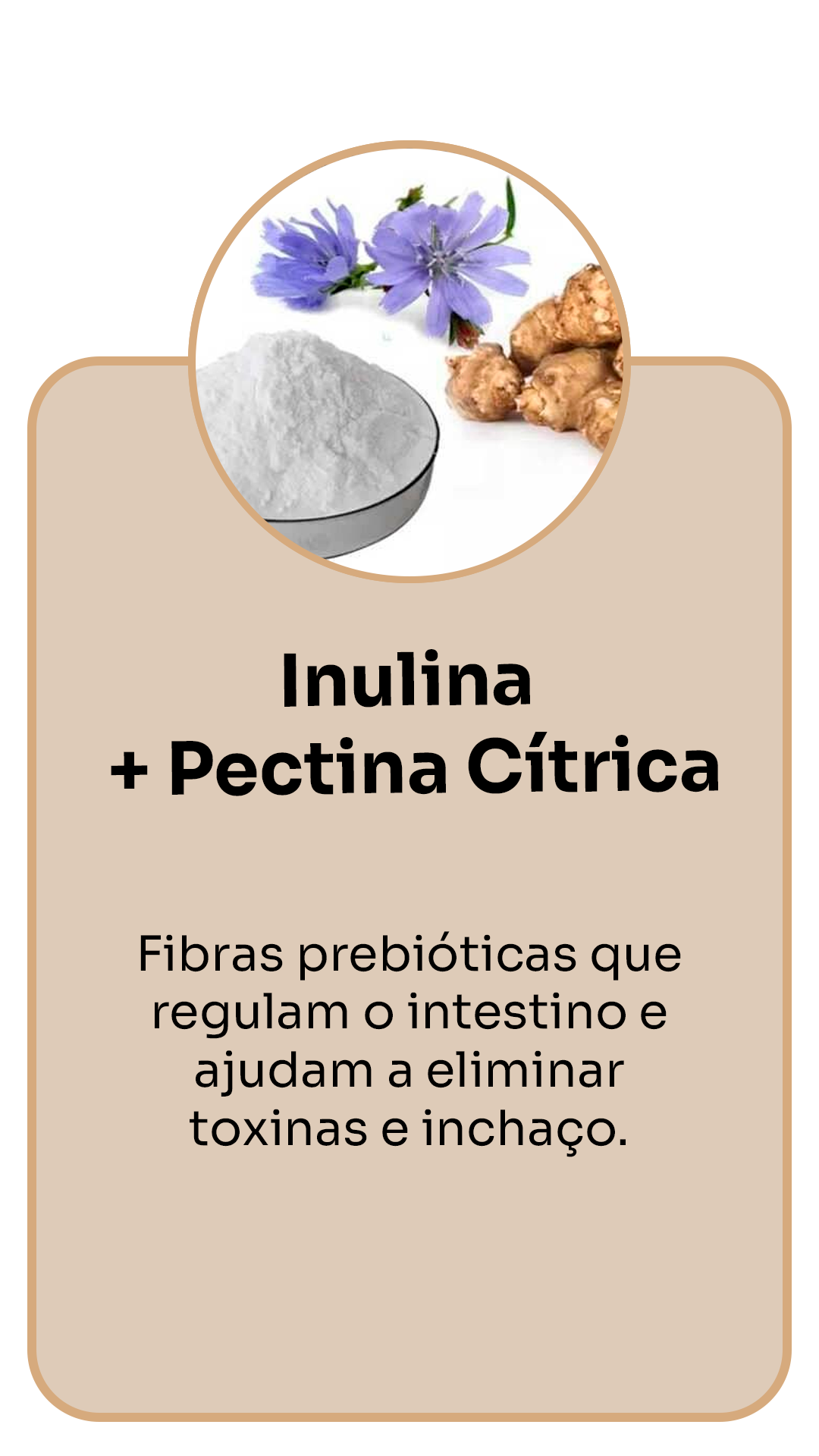 Inulina-Pectina-Cítrica