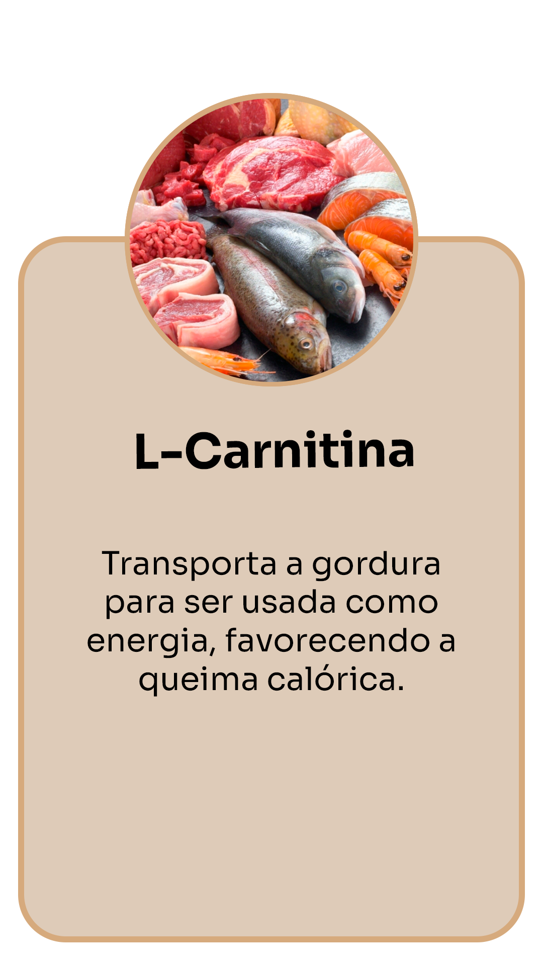 L-Carnitina