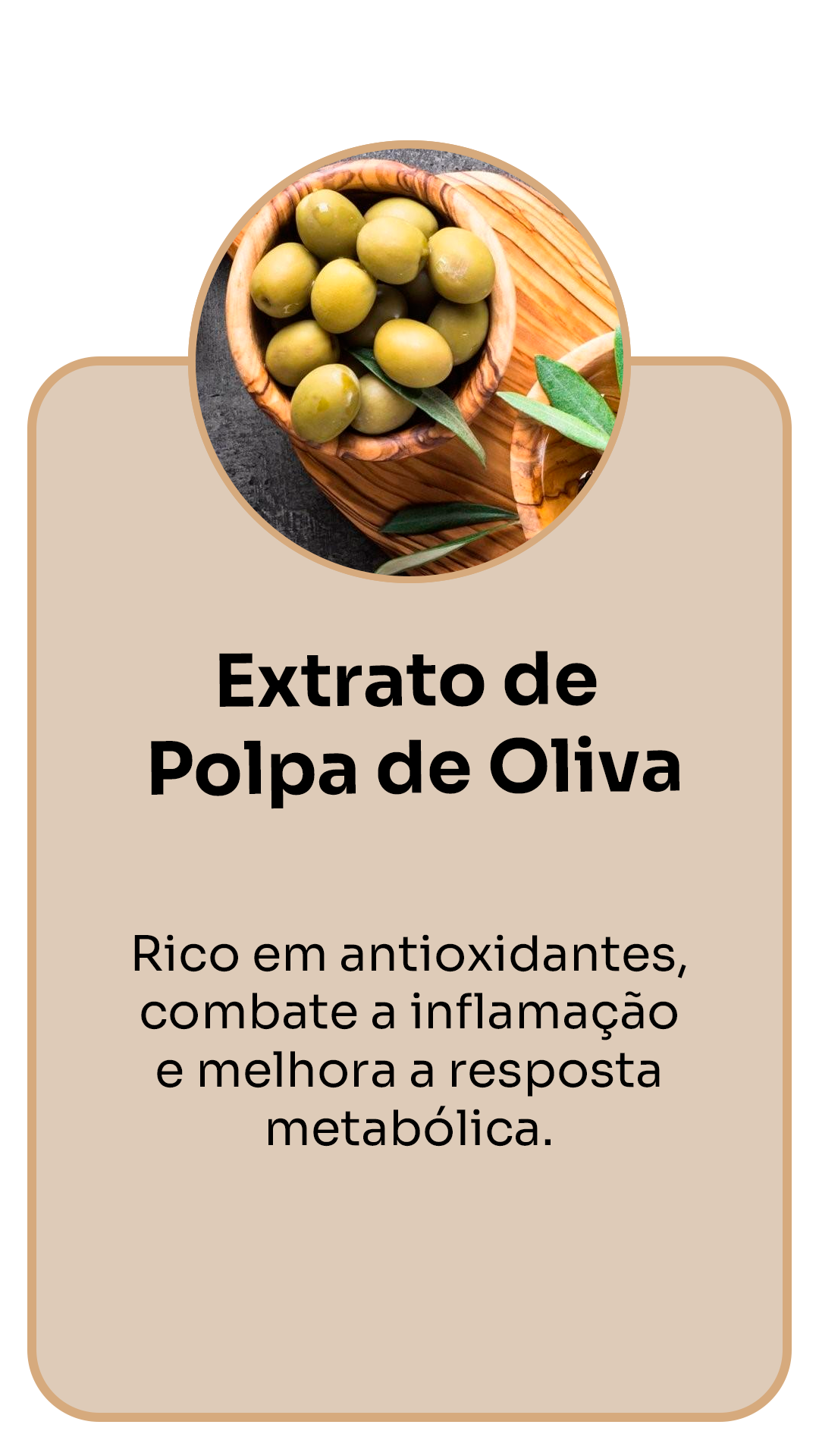 Polpa-de-Oliva